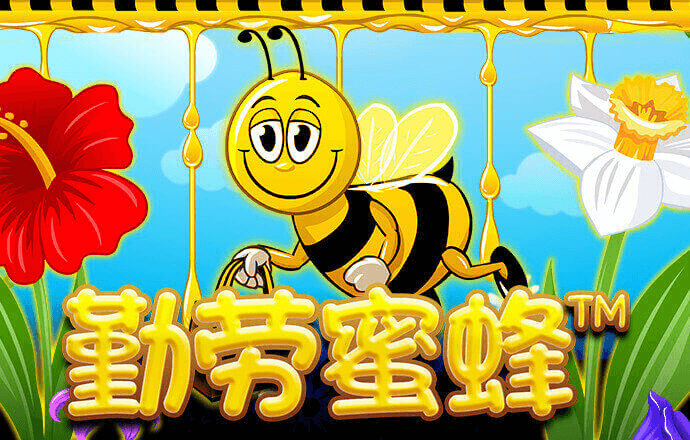 蜜蜂飙车